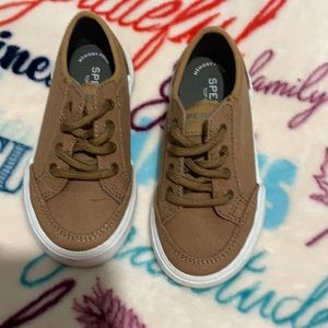 Toddler boy sperry top-sider size 9